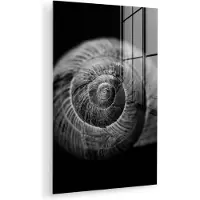 MuchoWow - Glasschilderij - Foto op glas - Acrylglas - Slak - Zwart - Wit - 120x180 cm - Glasschilderij zwart wit - Schilderij glas - Wanddecoratie glas - Woonkamer