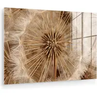 MuchoWow Glasschilderij 180x120 cm - Schilderij acrylglas - Paardenbloem - Bloemen - Natuur - Bruin - Foto op glas - Muurdecoratie woonkamer - Wanddecoratie slaapkamer - Schilderijen