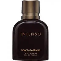 Dolce&Gabbana Intenso Eau de Parfum - 125ml | Heren Parfum