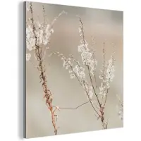 MuchoWow Aluminium schilderij 20x20 cm - Wanddecoratie metaal - Bloemen - Wit - Planten - Metalen muurdecoratie woonkamer - Decoratie industrieel - Foto op dibond - Industriële accessoires slaapkamer