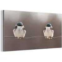 MuchoWow Aluminium schilderij 80x40 cm - Wanddecoratie metaal - Vogels - Dieren - Draad - Portret - Metalen muurdecoratie woonkamer - Decoratie industrieel - Foto op dibond - Industriële accessoires slaapkamer