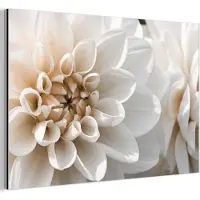MuchoWow Aluminium schilderij 120x80 cm - Wanddecoratie metaal - Bloemen - Wit - Natuur - Metalen muurdecoratie woonkamer - Decoratie industrieel - Foto op dibond - Industriële accessoires slaapkamer