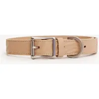 DOGGUO Zebra Collar - Hondenhalsband - Beige