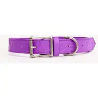 DOGGUO Zebra Collar - Hondenhalsband - Paars