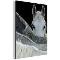 MuchoWow Aluminium schilderij 30x40 cm - Wanddecoratie metaal - Paarden - Dieren - Zwart - Wit - Metalen muurdecoratie woonkamer - Decoratie industrieel - Foto op dibond - Industriële accessoires slaapkamer