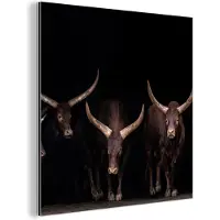 MuchoWow Aluminium schilderij 20x20 cm - Wanddecoratie metaal - Stieren - Dieren - Bruin - Donker - Metalen muurdecoratie woonkamer - Decoratie industrieel - Foto op dibond - Industriële accessoires slaapkamer