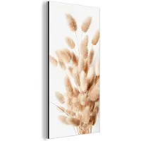 MuchoWow Aluminium schilderij 80x160 cm - Wanddecoratie metaal - Pampasgras - Pluim - Wit - Beige - Metalen muurdecoratie woonkamer - Decoratie industrieel - Foto op dibond - Industriële accessoires slaapkamer