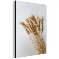 MuchoWow Aluminium schilderij 30x40 cm - Wanddecoratie metaal - Graan - Geel - Wit - Stilleven - Metalen muurdecoratie woonkamer - Decoratie industrieel - Foto op dibond - Industriële accessoires slaapkamer