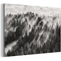 MuchoWow Aluminium schilderij 90x60 cm - Wanddecoratie metaal - Landschap - Mist - Bos - Natuur - Metalen muurdecoratie woonkamer - Decoratie industrieel - Foto op dibond - Industriële accessoires slaapkamer
