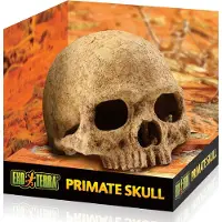 Exo Terra Schuilplaats Primate Skull - Ornamenten - 17x13.5x11.5 cm
