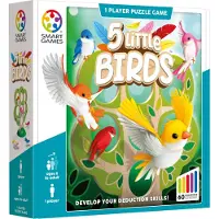 Brain Games 5 Little Birds
