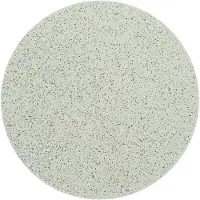 3M Trizcat P3000 Sanding Disc 15 Units Transparant 75 mm