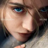 Konkurrent Bria Salmena - Big Dog (CD)