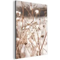 MuchoWow Aluminium schilderij 120x160 cm - Wanddecoratie metaal - Droogbloemen - Wit - Planten - Metalen muurdecoratie woonkamer - Decoratie industrieel - Foto op dibond - Industriële accessoires slaapkamer