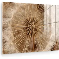 MuchoWow Glasschilderij 160x120 cm - Schilderij acrylglas - Paardenbloem - Bloemen - Natuur - Bruin - Foto op glas - Muurdecoratie woonkamer - Wanddecoratie slaapkamer - Schilderijen