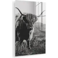 MuchoWow Glasschilderij - Foto op glas - Acrylglas - Dieren - Schotse hooglander - Koe - Gras - Natuur - 120x180 cm - Schilderij Schotse hooglander - Wanddecoratie - Decoratie woonkamer