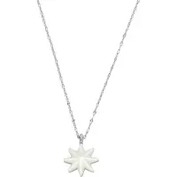 Skagen Dames Zilveren Pendentifsieraden - Skagen SKJ1776040