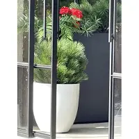 LeopoldFlora Kunststruik Pinus Den 60 cm UV