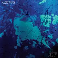 Ginza.se Magic Wands - Switch (LP)