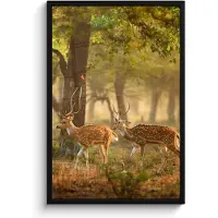PosterMonkey Poster in lijst - Fotolijst 60x90 cm - Posters - Herten - Bos - Herfst - Bosdieren - Natuur - Hert - Posterlijst zwart - Decoratie - Wanddecoratie woonkamer - Muurdecoratie slaapkamer