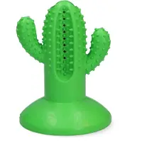 Afp - Dental Cactus Large Green 15cm - (AFPH04198)