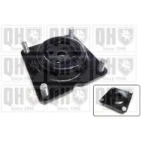 Quinton Hazell EMR4909 Veerpootlager