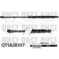 Quinton Hazell QTS828597 Gasveer achterklep