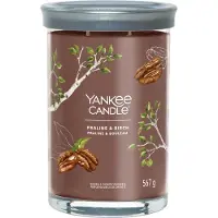Yankee candle Kamergeuren Tumbler Praline & Birch