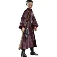 Hasbro Star Wars, The Black Series, Padmé Amidala, 4 rok/jaren, Meerdere kleuren, Kunststof
