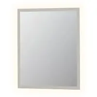 Ink Spiegel sp7 70x3x80 cm met spiegelverwarming aluminium kader
