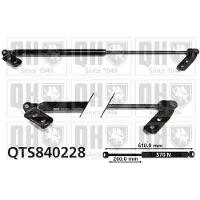 Quinton Hazell QTS840228 Gasveer achterklep