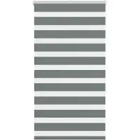 vidaXL Zebra rolgordijn 70x150 cm stofbreedte 65,9 cm donkergrijs