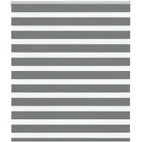vidaXL Zebra rolgordijn 125x100 cm stofbreedte 120,9 cm donkergrijs