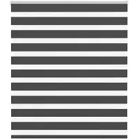 vidaXL Zebra rolgordijn 125x100 cm stofbreedte 120,9 cm zwart