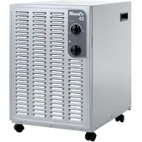 Wood's Luchtontvochtiger woodsdéshu-SW42FM 600 W Grijs