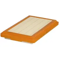 HENGST FILTER E37L01 Luchtfilter