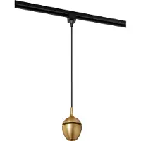 Lucide Track Hanglamp Preston Messing Gu10