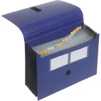 FolderSys waaiermap, 12 vakken, A4, met klittenbandsluiting, blauw