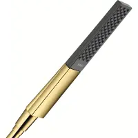 Hansgrohe rainfinity staafhanddouche 100 1jet ecosmart, polished gold optic