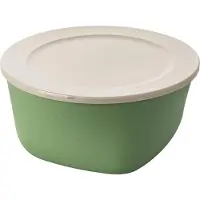 Koziol Vershouddoos Bio-Circulair Connect Box Nature Leaf Green 2L