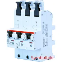 ABB 2CDS781001R4252 S751/3-E25 Hoofdleidingsveiligheidsschakelaar 3-polig
