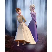 Komar Poster Frozen Boswandeling 40 X 50 Cm