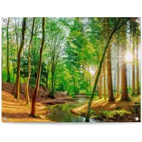 Reinders! Poster Zonnig bos
