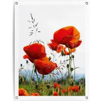 Reinders! Poster Klaprozen Outdoor voor tuin of balkon
