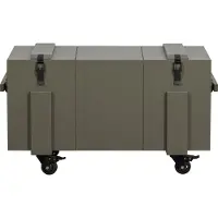 Woood Bobby Opbergkist - Grenenhout - Forrest - 55x100x56 cm