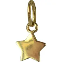 New Bling 132400337 Gouden Hangertje - Dames - Ster - 5,5 mm - 14 Karaat - Bedel - Goud