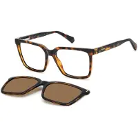 Polaroid PLD D556/C 54/17/140 Havana polyamide monturen UNISEX PLD D556/C