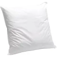 DREAMEA Hoofdkussen 60 x 60 cm van DREAMEA - 600 gr - MARIN