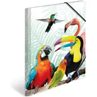 Herma Elastomappen A3 PP Kliek tropische vogels