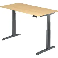 Hjh OFFICE PRO XBHM 16 GG - Esdoorn 160 x 80 Tafelhoogte I Elektrisch in hoogte verstelbaar